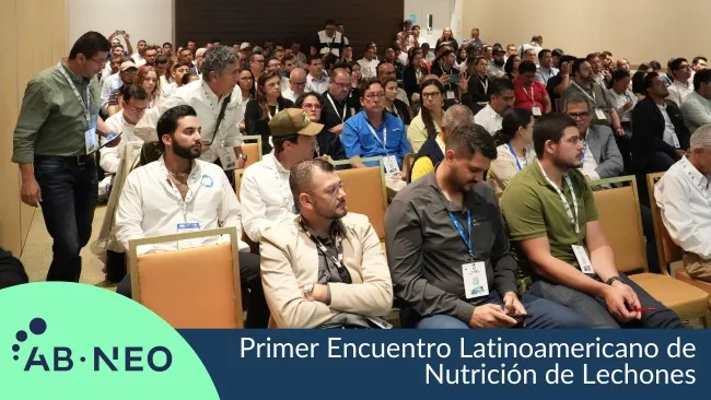 AB Neo impulsa la nutrición de lechones en el 333 Experience Congress LATAM 2024