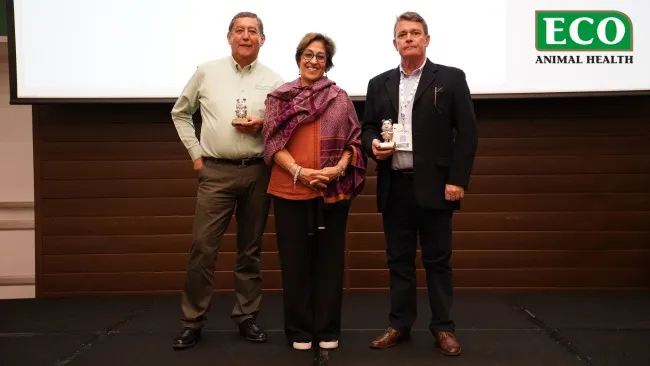 ECO Animal Health se presentó en el 333 Experience Congress, comprometidos con la bioseguridad y diagnóstico para Mycoplasma Hyopneumoniae