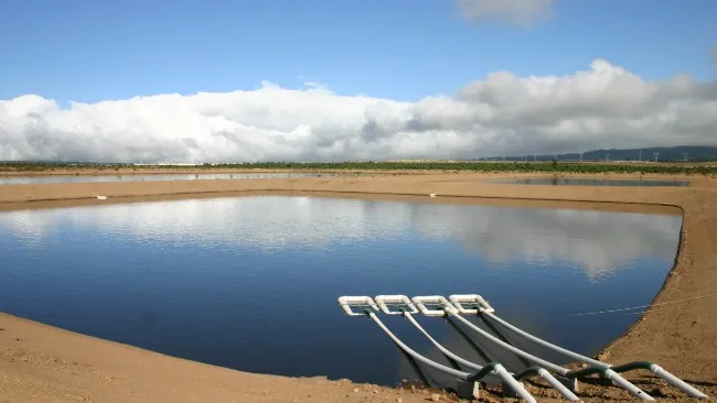 Agricultura Sustentable de Granjas Carroll reduce impacto ambiental en sus instalaciones
