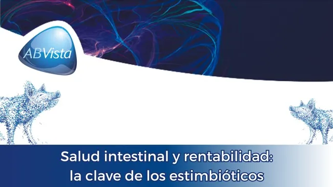 El impacto de la suplementación de fibra dietética en lechones