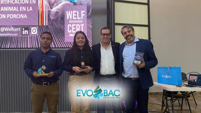Innovación en bienestar animal: una certificación que transforma la porcicultura mexicana
