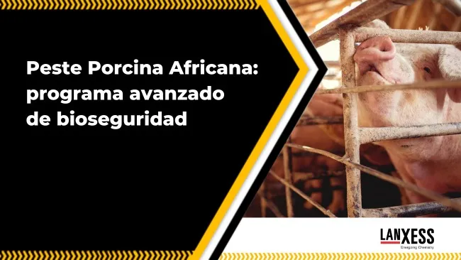 Fortaleciendo la bioseguridad en la producción porcina: el papel clave de Virkon™ y Biosolve™