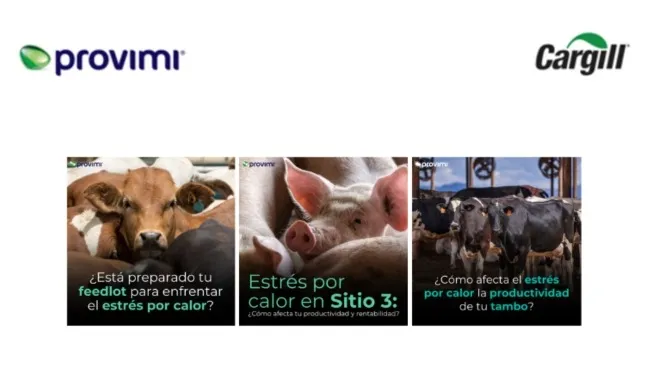 Cómo controlar el estrés por calor en establecimientos productivos
