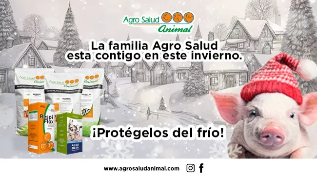 La importancia del uso responsable de antibióticos en invierno para la salud porcina