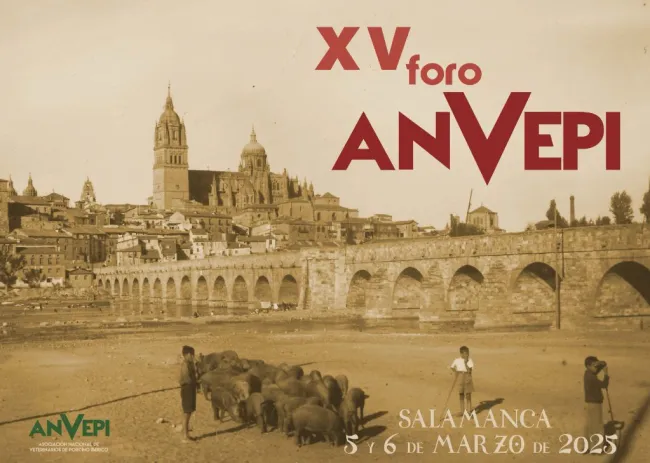 XV Foro ANVEPI
