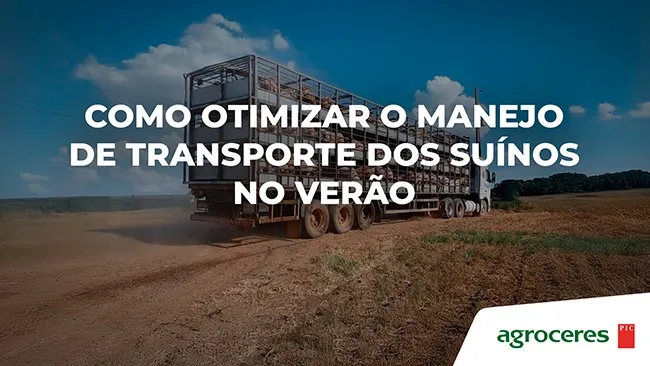 Confira sete orientações técnicas