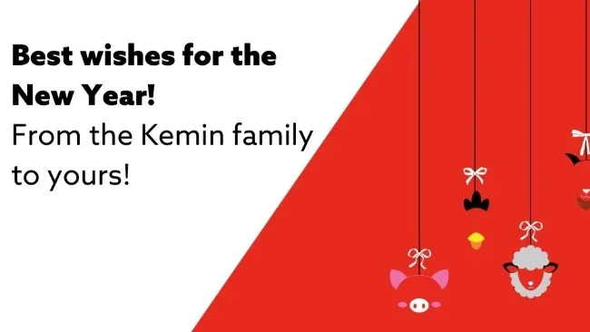 We wish you a all the best for the new year!