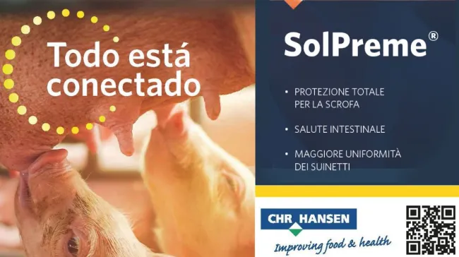 SOLPREME: B. subtilis e B. amyloliquefaciens.
