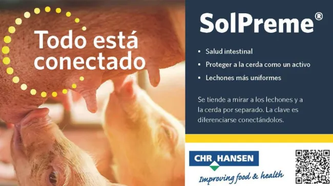 SOLPREME: B. subtilis y B. amyloliquefaciens.