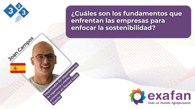 Retos clave para la sostenibilidad y eficiencia en la producción porcina