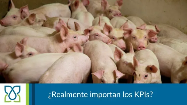 ¿Son realmente tan importantes los KPIs?