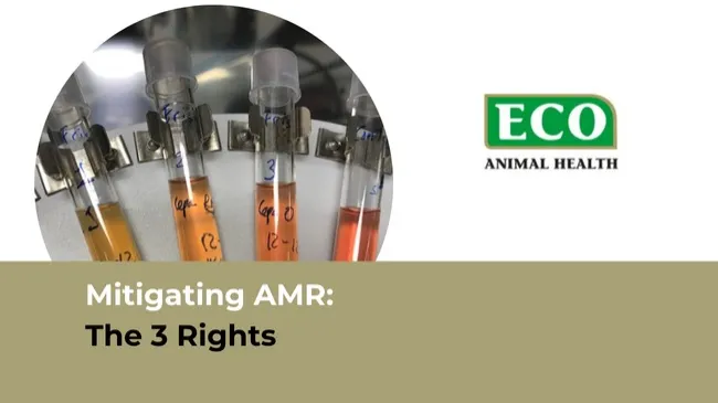 Mitigating AMR: The 3 Rights