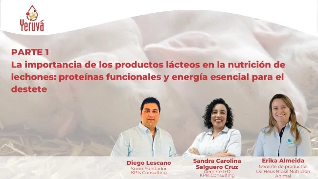 Cápsula 1 | Los beneficios de los productos lácteos en la alimentación de lechones