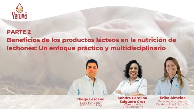 Cápsula 2 | Beneficios de los productos lácteos en la nutrición de lechones: Un enfoque práctico y multidisciplinario