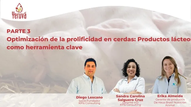 Cápsula 3 | Optimización de la prolificidad en cerdas: Productos lácteos como herramienta clave