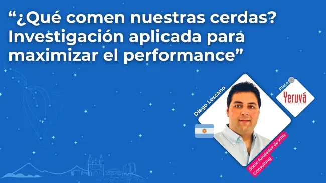 ¿Qué comen nuestras cerdas? Claves para maximizar su rendimiento