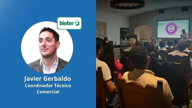 Soluciones nutricionales para optimizar la productividad y longevidad de las cerdas