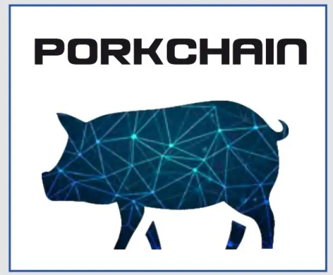 Conosci PORKCHAIN????