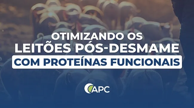  Benefícios sistêmicos do uso de proteínas funcionais do plasma
