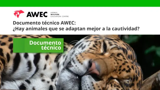 Existen diferencias importantes entre especies en su capacidad de adap...
