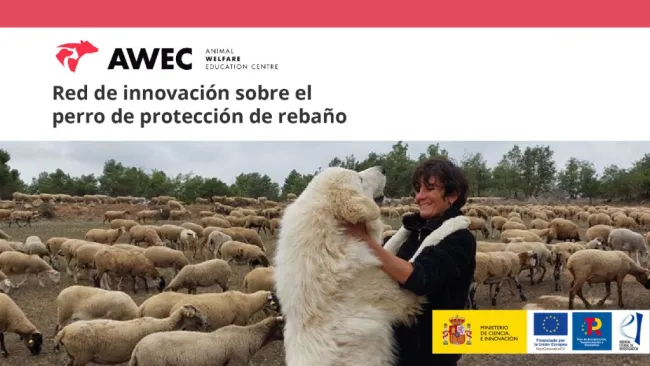 🐾 Compañero de trabajo indispensable y, a veces, malinterpretado, ...