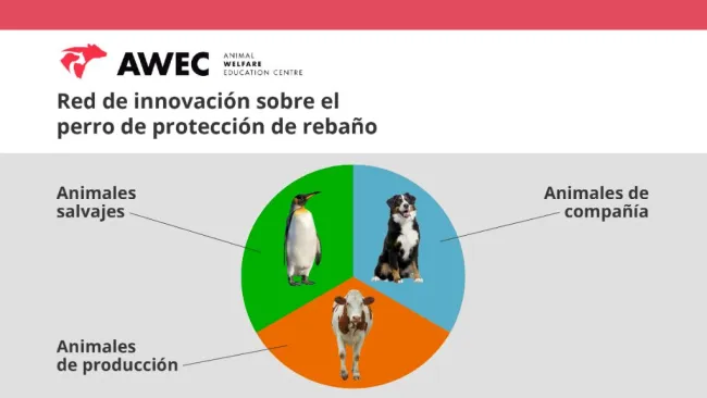 El máster en Bienestar Animal permite adquirir los conocimientos nece...