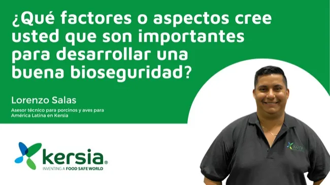 Bioseguridad integral: clave para enfrentar los desafíos de la producción porcina