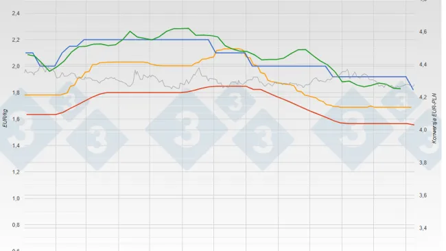 Cena świń w  Niemcy - VEZG - tusza 57% - 3trzy3, świnie online
