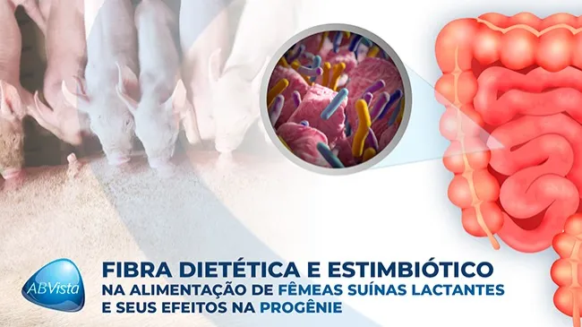 Transformando o potencial da fibra em uma fonte de prebiose intestinal