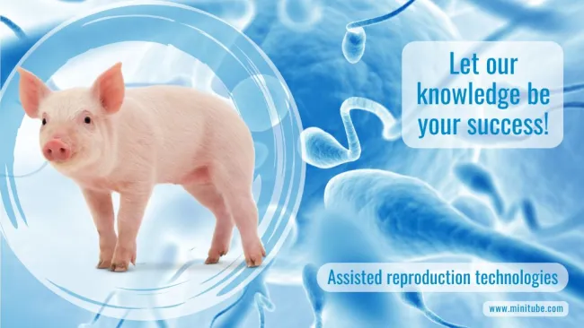 Welcome to the Minitube account! We are committed to providing high-qu...