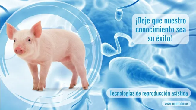 ¡Bienvenido a la cuenta de Minitube! Nos comprometemos a proporcionar...