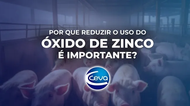 Suinocultura mais responsável e ambientalmente consciente