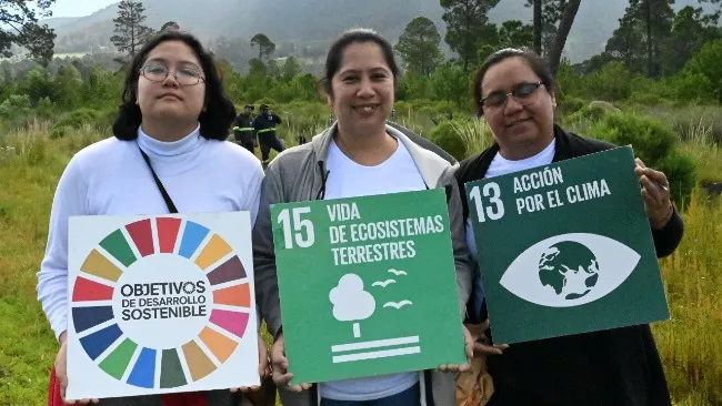 Granjas Carroll impulsa la conservación  y reforestación en el Valle de Perote