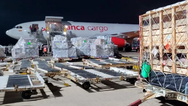 Agroceres PIC realiza primeira exportação de reprodutores para a Colômbia