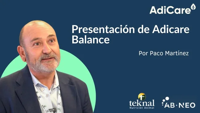 AdiCare Balance: la importancia de la salud intestinal en la producción porcina