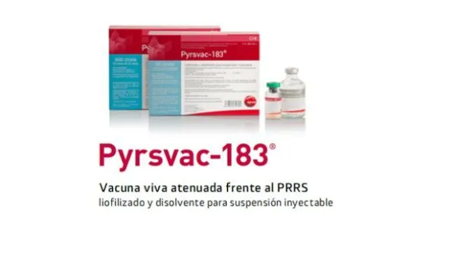 Syva está contigo frente al PRRS