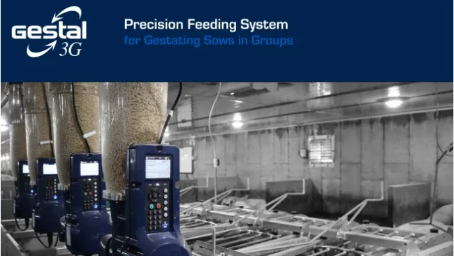 PIPESTONE: Transitioning to Open Pen Gestation with GESTAL 3G