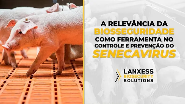 Quais são os protocolos de biosseguridade essenciais?