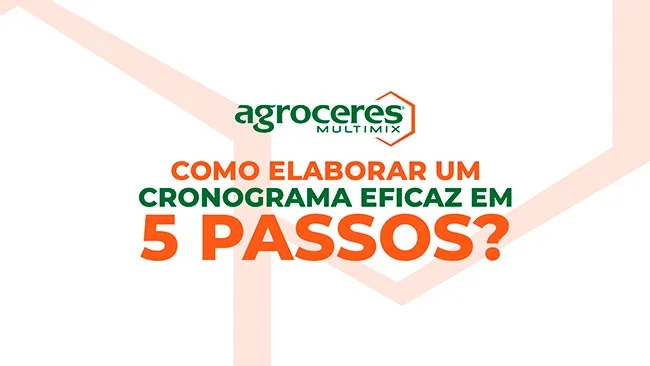 Ferramenta para otimizar tempo: com a melhoria dos resultados zootécnicos e financeiros na granja