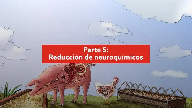 Reducir los neuroquímicos a nivel intestinal como herramienta para reducir infecciones