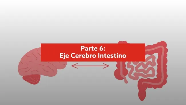 Endocrinología microbiana: Más allá del intestino – Comunicación del eje cerebro-intestino 