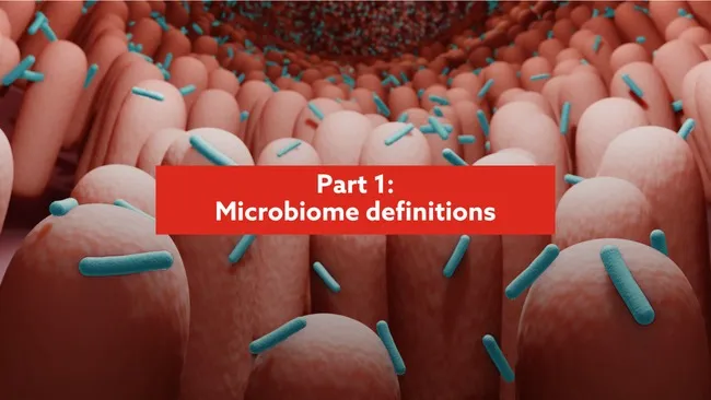 Microbiome: Defining terms and importance in swine production