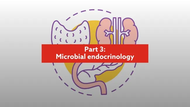 Microbial endocrinology: strategies to improve animal health