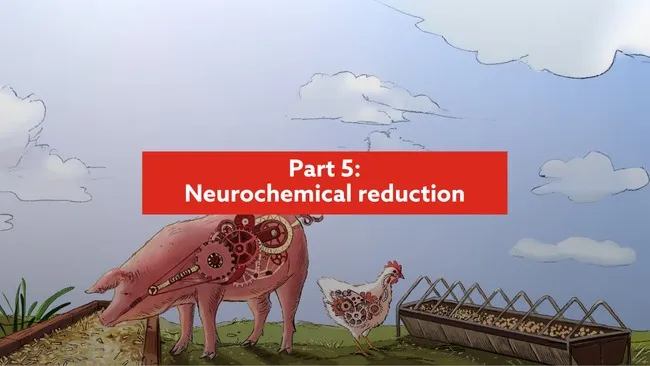 Reducing neurochemicals at a gut level as a tool to reduce infection