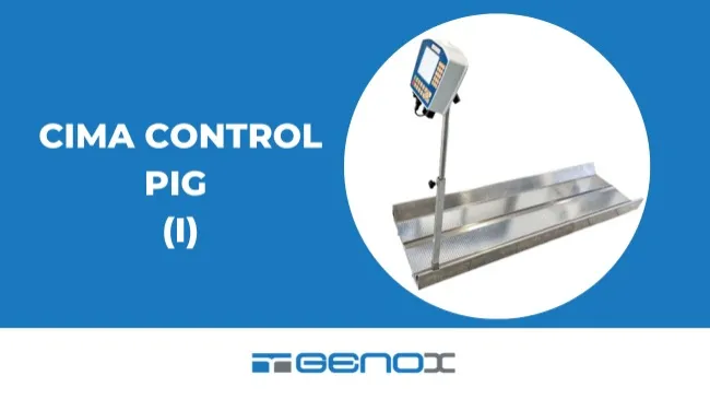 Innovación en la Porcicultura: CIMA CONTROL PIG revoluciona el pesaje de los cerdos. 