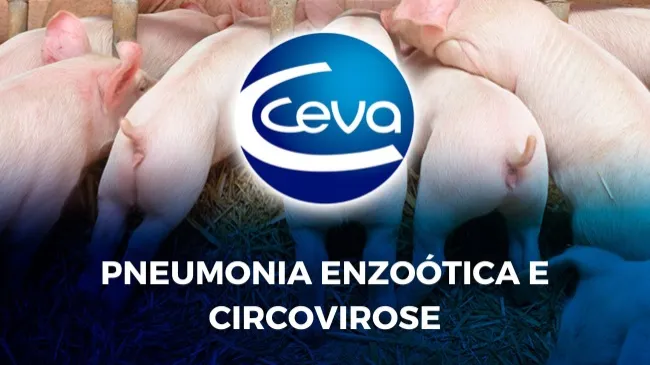 Desafios da suinocultura moderna