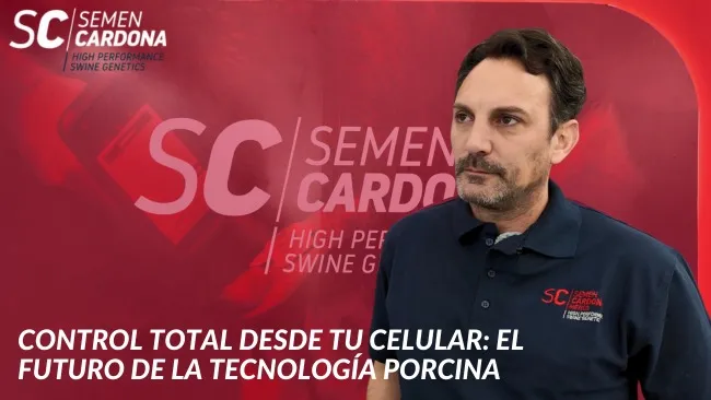 Innovación en inseminación porcina: La revolución tecnológica de Semen Cardona