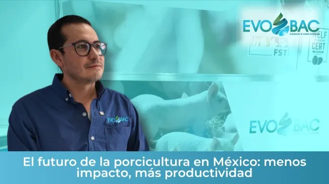 Evobac y el futuro de la porcicultura: bienestar animal, sostenibilidad y economía circular