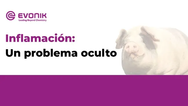 Inflamación: Un problema oculto