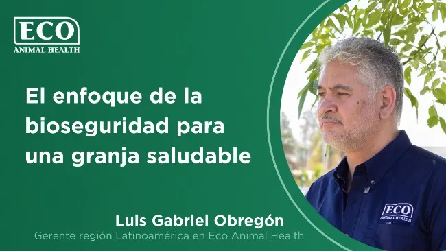 ECO Animal Health en AMVECAJ: Estrategias para una Porcicultura Saludable